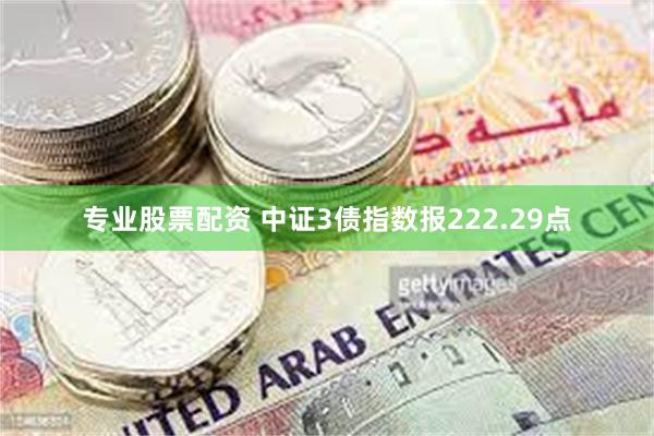 专业股票配资 中证3债指数报222.29点