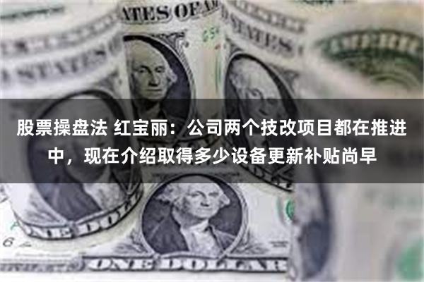 股票操盘法 红宝丽：公司两个技改项目都在推进中，现在介绍取得多少设备更新补贴尚早