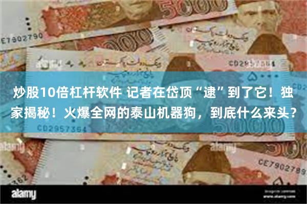 炒股10倍杠杆软件 记者在岱顶“逮”到了它！独家揭秘！火爆全网的泰山机器狗，到底什么来头？