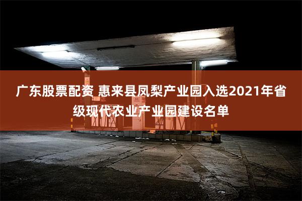 广东股票配资 惠来县凤梨产业园入选2021年省级现代农业产业园建设名单